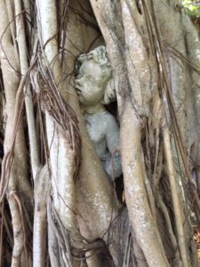 Cherub in banyan tree