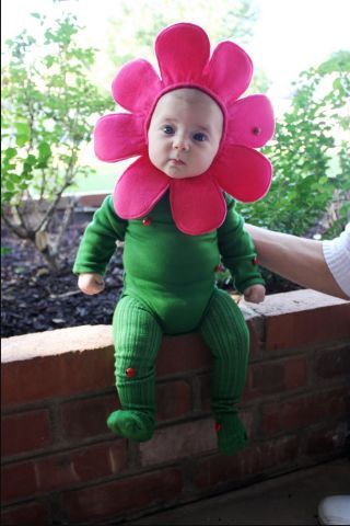 baby-flower-from-pinterest